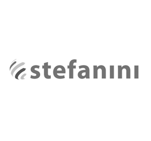 Stefanini